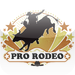 Pro Rodeo Fan